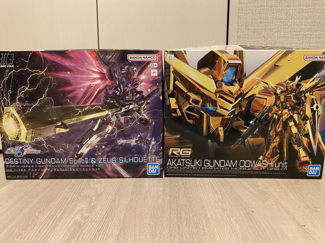 HG デスティニーガンダムSpecII&ゼウスシルエット RGアカツキ