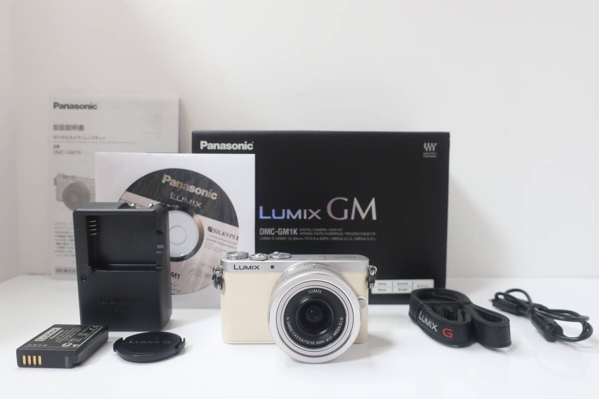 Panasonic パナソニック DMC-GM1 レンズキット 元箱付 #3296