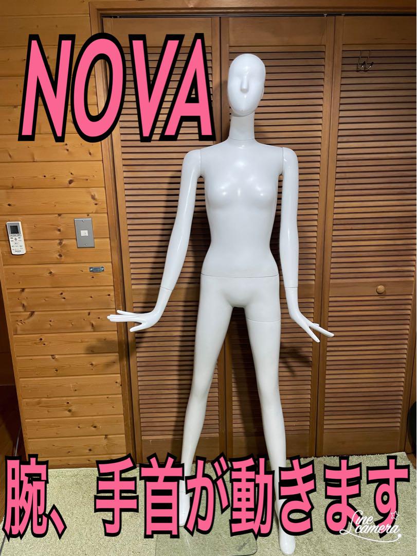 NOVA レディース マネキン トルソー 全身 可動 （マネキン