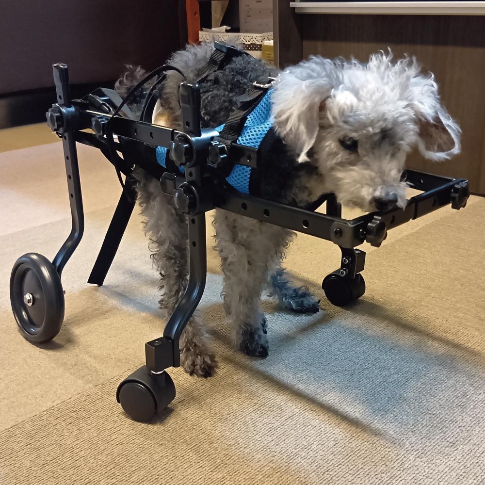 犬用車椅子 車いす 歩行器 4輪 小型 中型 ペット リハビリ 介護