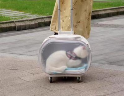 ホワイト ペットキャリー キャスター付き （猫 ペットキャリー