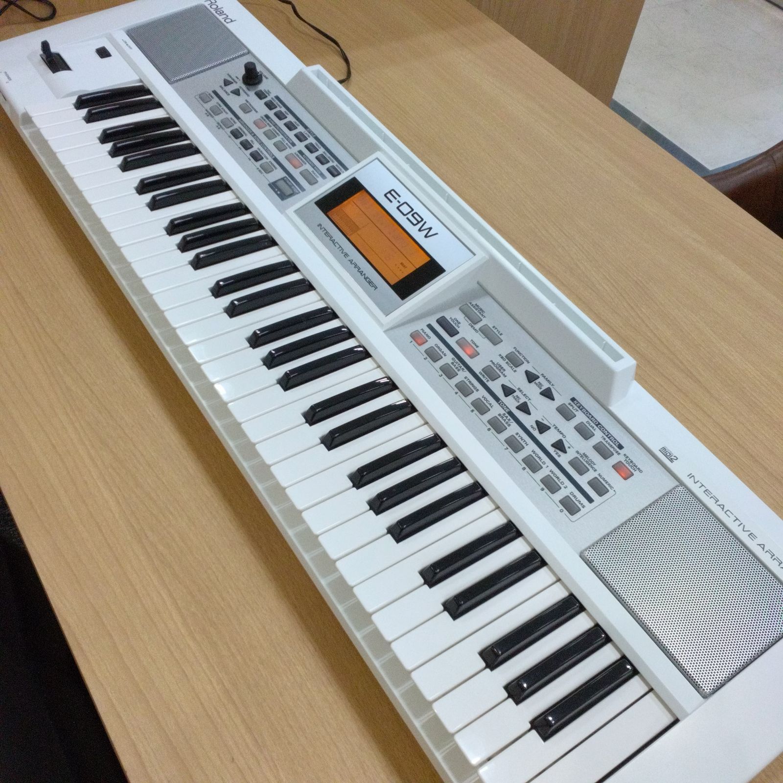 名器 ローランド ROLAND スピーカー内蔵 キーボード E-09W 美品 Roland E-09【ソフトケース付属】 ローランド 【 立川店