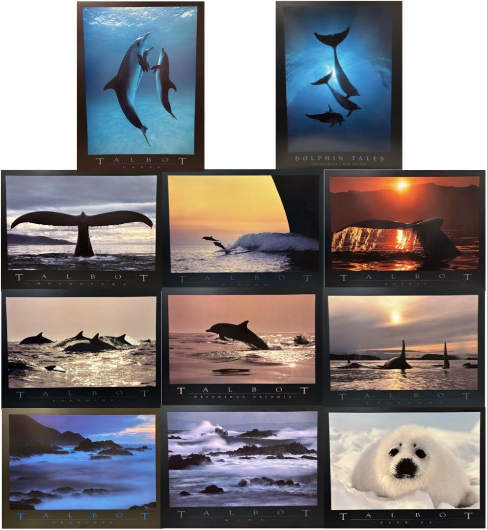 Bob Talbot 80s vintage poster 11種セット（Megaptera, 1987 by