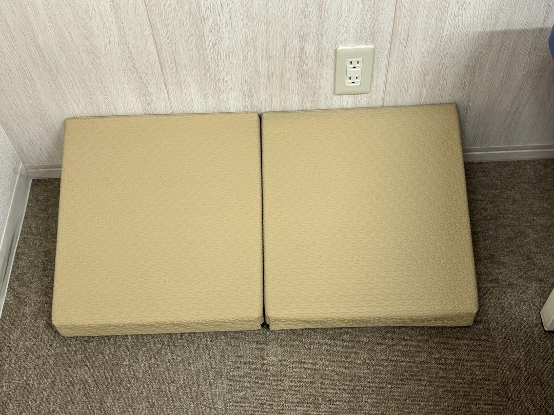 サンテプラス　フレックスクッション　Flexcushion　ベージュ　2セット サンテプラス フレックスクッション Flexcushion ベージュ 2