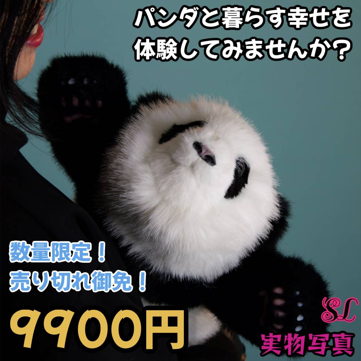 リアルでかわいい！成都パンダ基地生まれの人気ぬいぐるみが新登場、価格もお手頃 71xb4TIM2+L._UF350,350_QL50_.jpg