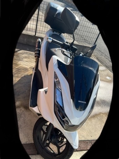お取引き終了 ホンダ PCX125 JK05 （最新型低走行車両】ホンダ