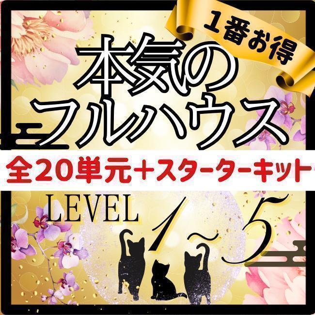 【￥9,700引】ゆめ乃算命学「フルハウス」　レベル１～５　独学　鑑定　本　占い 9,700引】ゆめ乃算命学「フルハウス」 レベル1～5 独学 鑑定
