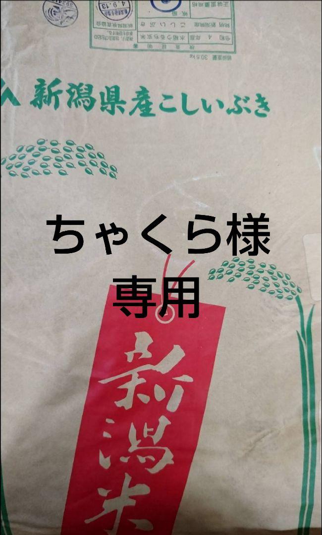 ちゃくら様専用新潟産こしいぶき20kg （お米 無洗米【岩手県産無