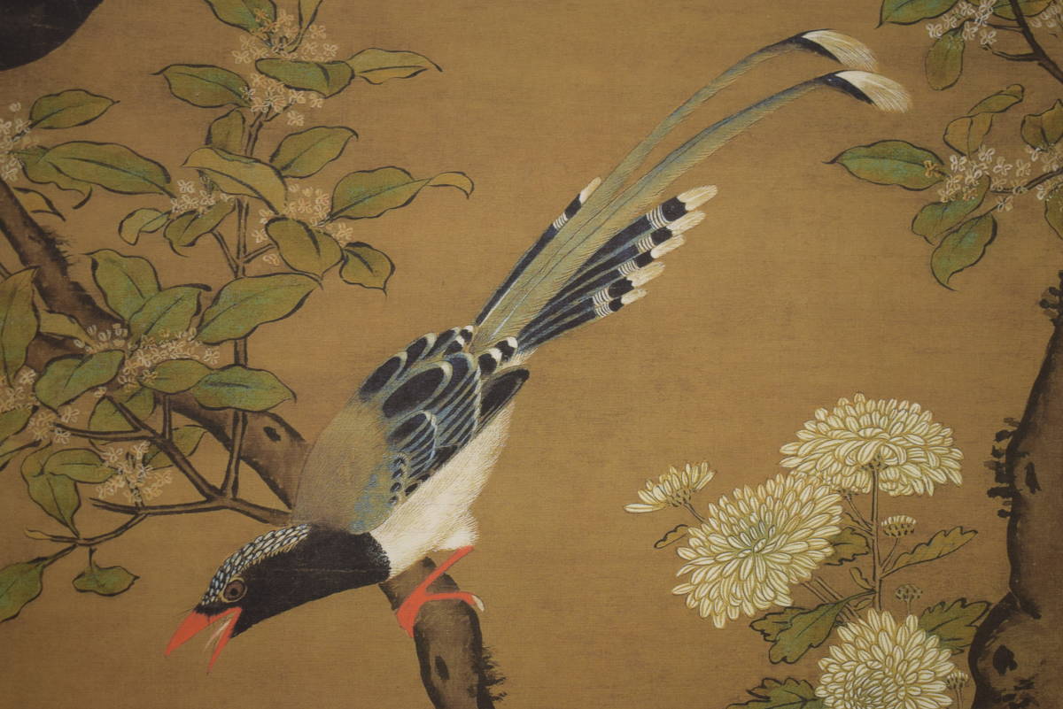 複製/呂紀/菊花花鳥図/小禽図/中国画/工芸/布袋屋掛軸HI-932 複製】//呂紀/菊花花鳥図/小禽図/中国画/工芸/布袋屋掛軸HI-932
