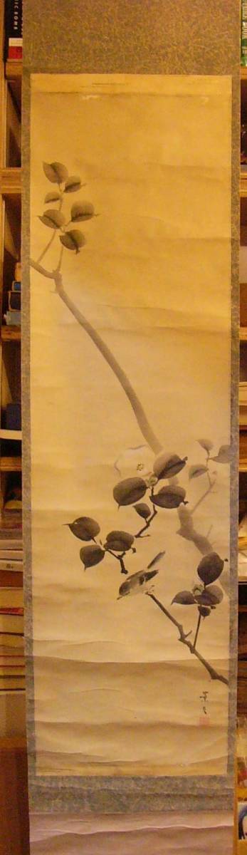 模写」 掛軸 松村景文 椿小禽（森蘭斎 梅菊小禽図｜古美術