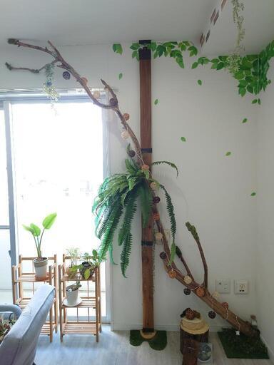 No.1200 記念作品【chuchumama】流木の間接照明付きオブジェ 納入事例 - 神戸須磨シーワールドホテル | 大光電機株式会社