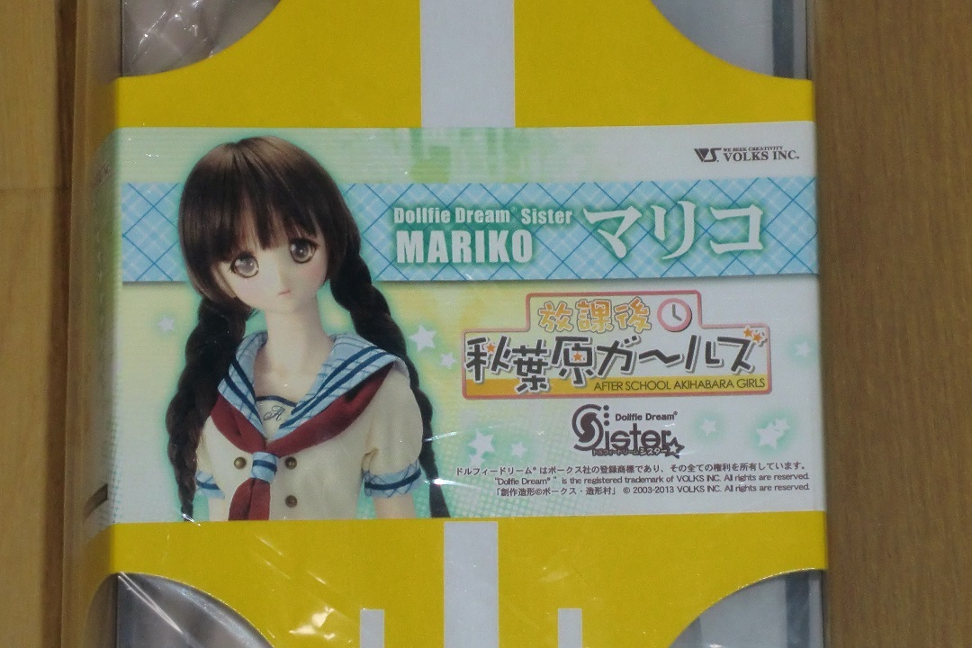 ボークス DD ドルフィードリーム 放課後秋葉原ガールズ マリコ