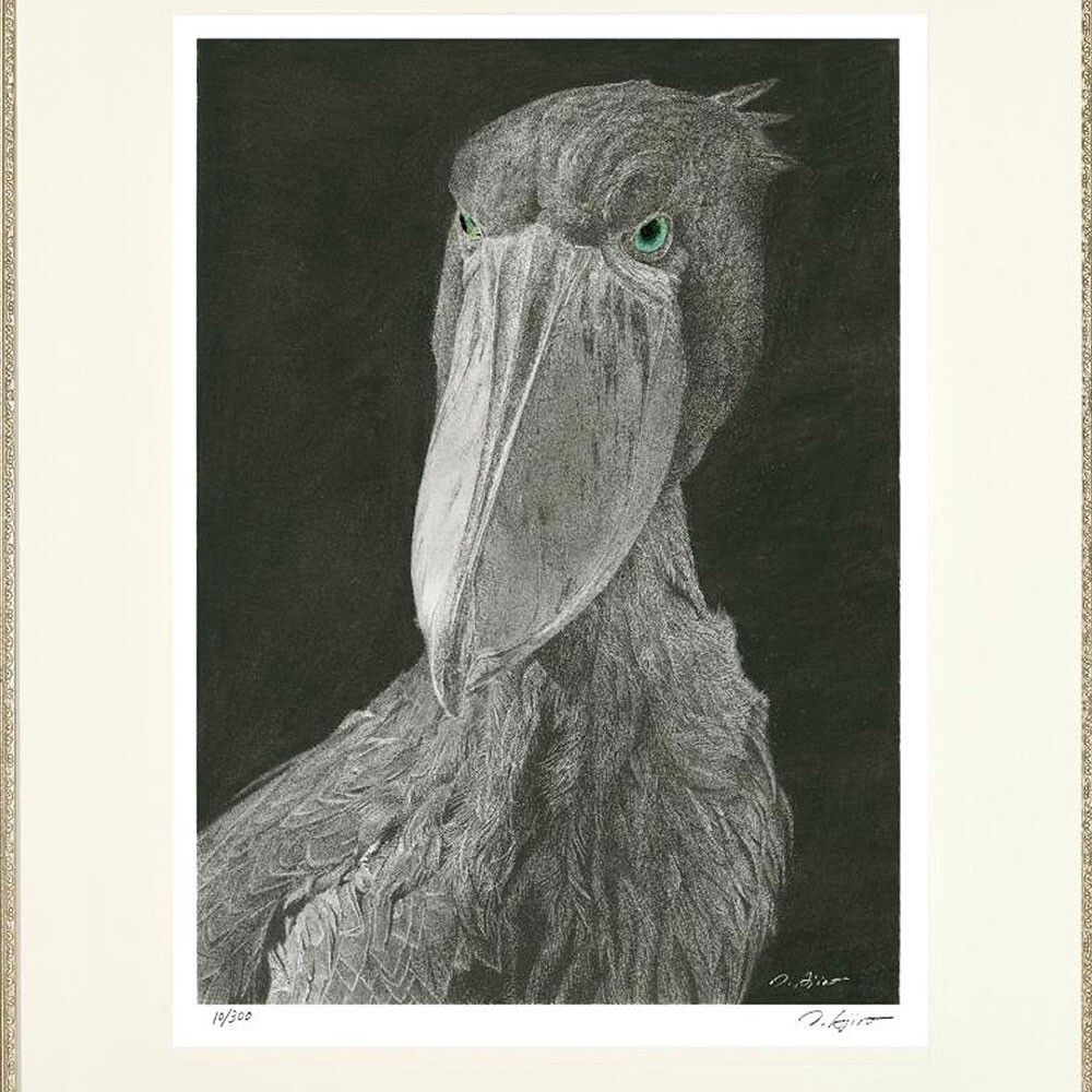 動物画 足代トシ 「ハシビロコウ」鉛筆画 複製 ジークレー版画