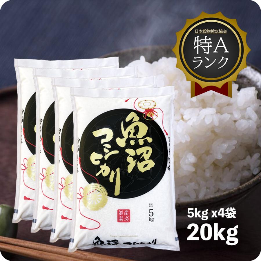 お米20kg◆令和6年産コシヒカリ◆白米20kg◆減農薬◆お買い得◆20キロ お米20kg◇令和6年産コシヒカリ◇白米20kg◇減農薬◇