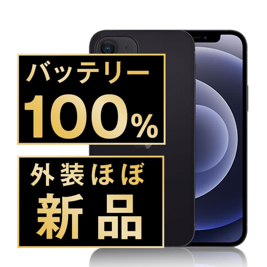 バッテリー100% iPhone12 64GB ブラック SIMフリー 中古 本体