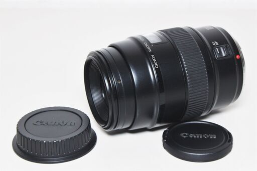 Canon/EF100mm F2.8 マクロ/望遠マクロレンズ ⑥（Canon EF