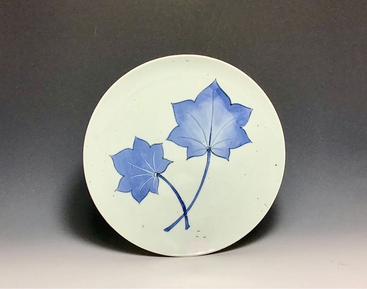 藍九谷」紅葉文中皿 (完品) 染付 伊万里（2025年最新】Yahoo