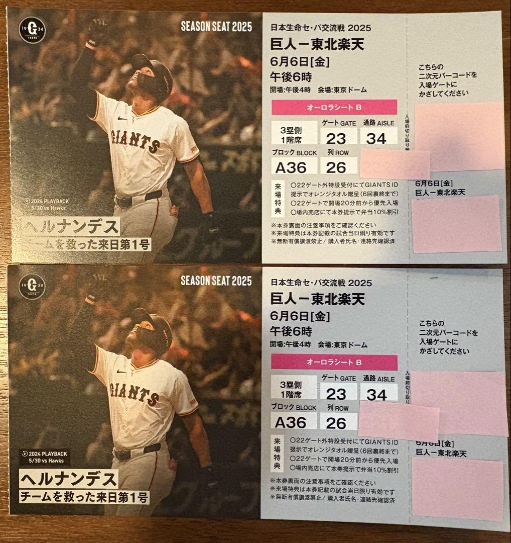 2枚連番】6月6日（金）18時東京ドーム 巨人ー東北楽天3塁側