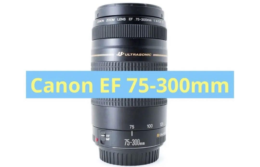大望遠レンズ/大迫力の300㎜/キヤノン/Canon EF75-300 II 人気/スポーツ/大迫力300㎜/望遠レンズ/Canon EF75-300㎜USM