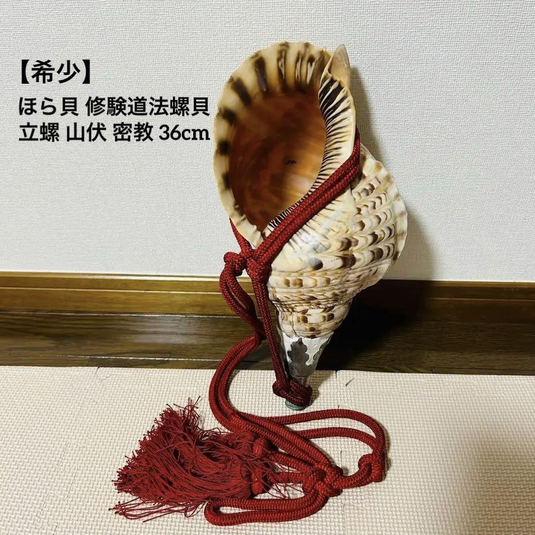 一粒万倍日！希少特大42㎝修験道法螺貝　山伏　密教　ホラガイ　ほら貝　赤紐付き Amazon.co.jp: 特大修験道法螺貝43.5㎝ 山伏 密教 魔除け 熊よけ