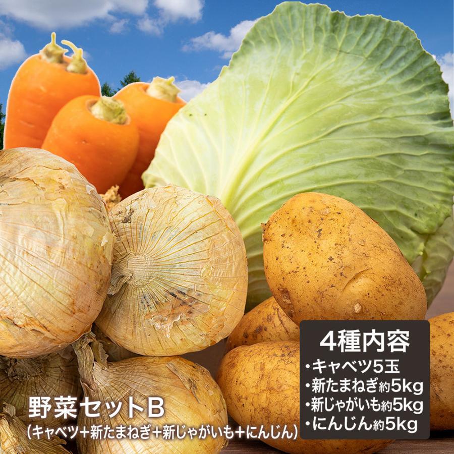 野菜セットB キャベツ5玉・新たまねぎ・新じゃがいも・にんじん約5kg 4種 野菜セットB（キャベツ5玉・新たまねぎ約5kg・新じゃがいも約5kg
