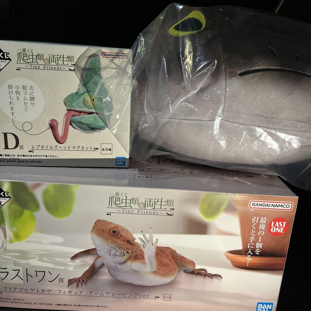 爬虫類＆両生類 一番くじ D賞 爬虫類＆両生類」だけの一番くじ 第2弾が7月25日より登場！ | @Press