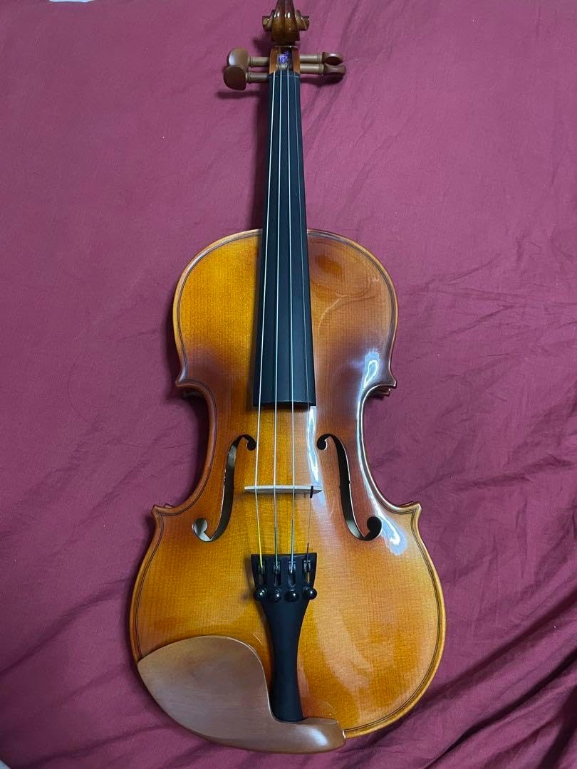 ルドルフフィドラー　バイオリン Rudolph Fiedler GV-3_バイオリン