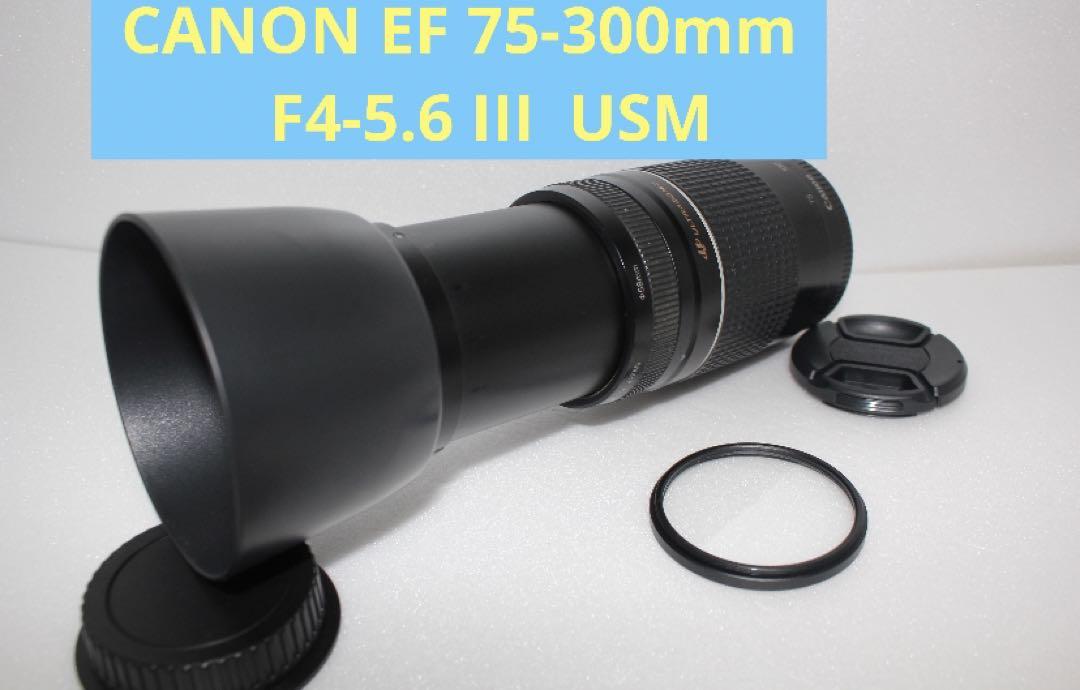 極上品☆迫力の300㎜☆フード付☆キャノン Canon EF75-300㎜ Amazon.com : Canon RF 75-300mm f/4-5.6 Compact Telephoto