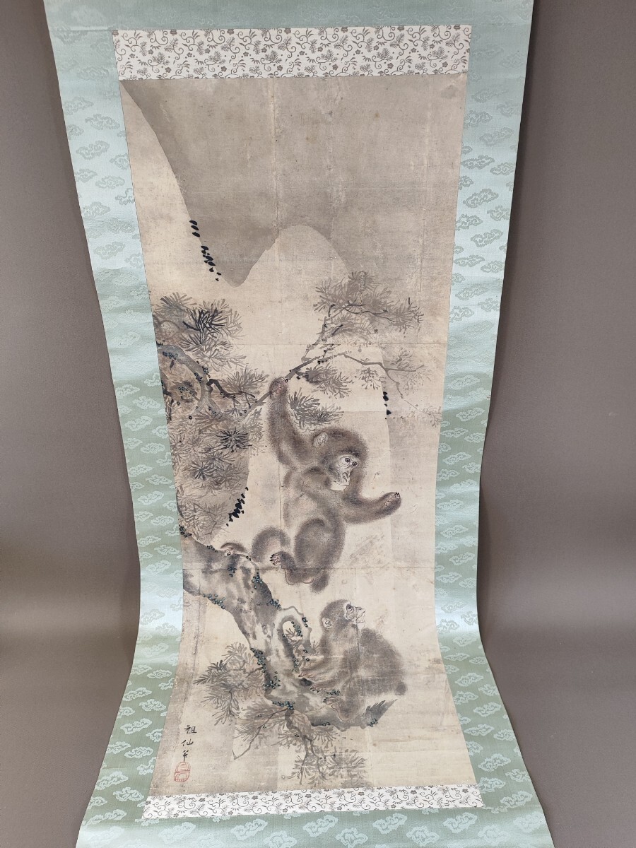 k6 森狙仙 猿図 掛軸 肉筆 模写 時代物 古美術（森狙仙