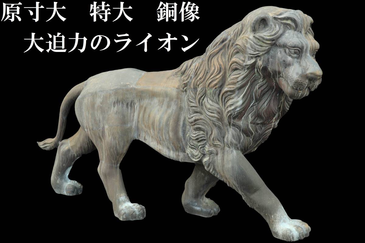 C1137） 青銅製 特大 原寸大？ ライオン 全長 約200cm 今にも