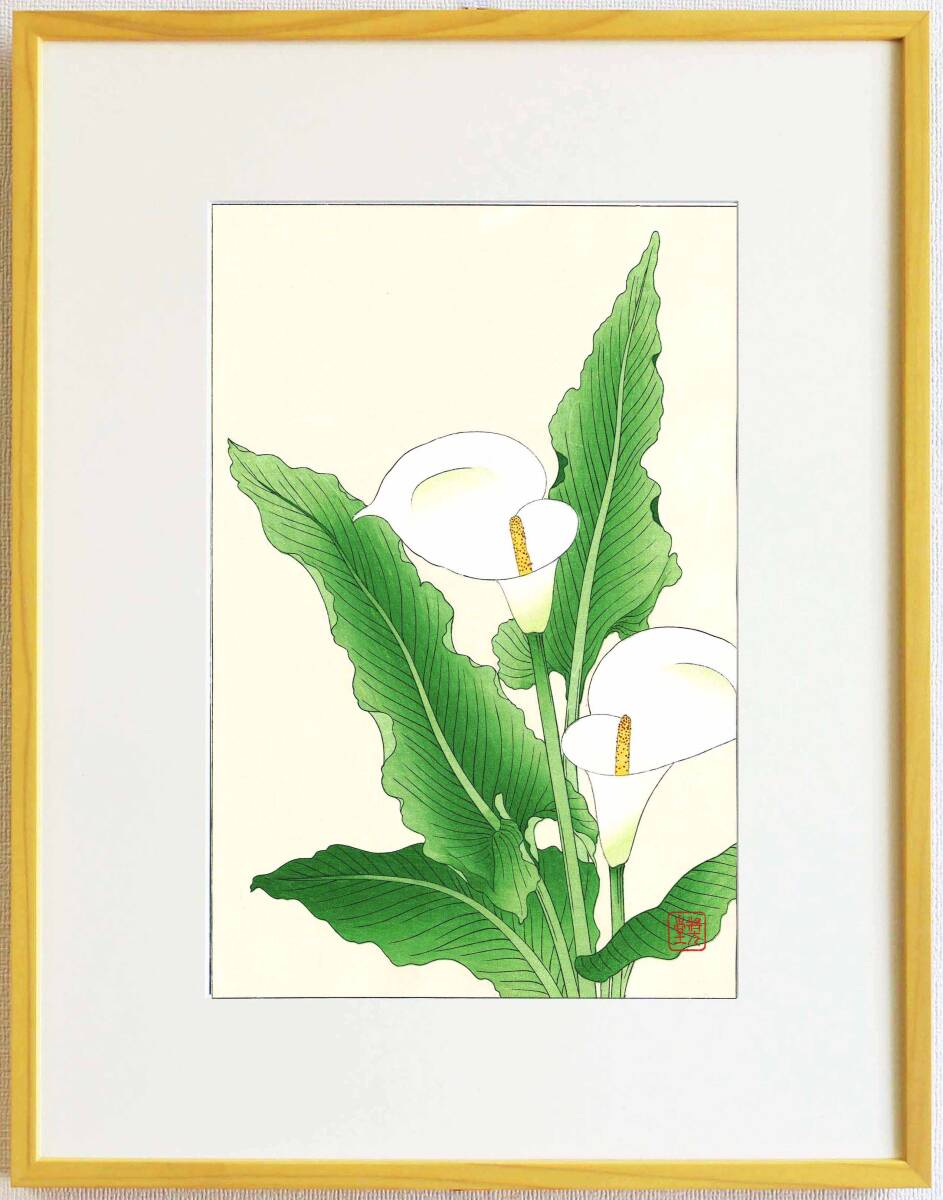 真作保証 額装 河原崎奨堂 木版画 #138 カイウ Calla lily 初版
