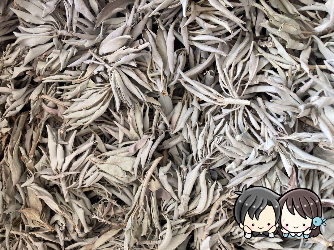 【限定価格】業務用「1kg」 枝付き　ホワイトセージ 限定価格】業務用「1kg」 枝付き ホワイトセージ 挟まり