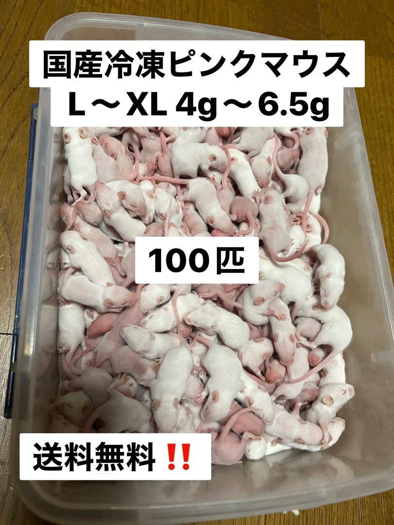 鬼蕗 国産冷凍ピンクマウスL 100匹 送料込み 国産冷凍ピンクマウスL.XL 100匹 北海道沖縄及び離島発送別料金
