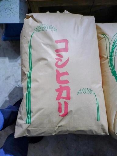 新米 広島県 世羅産 令和6年 コシヒカリ 玄米 30kg（新米 令和6