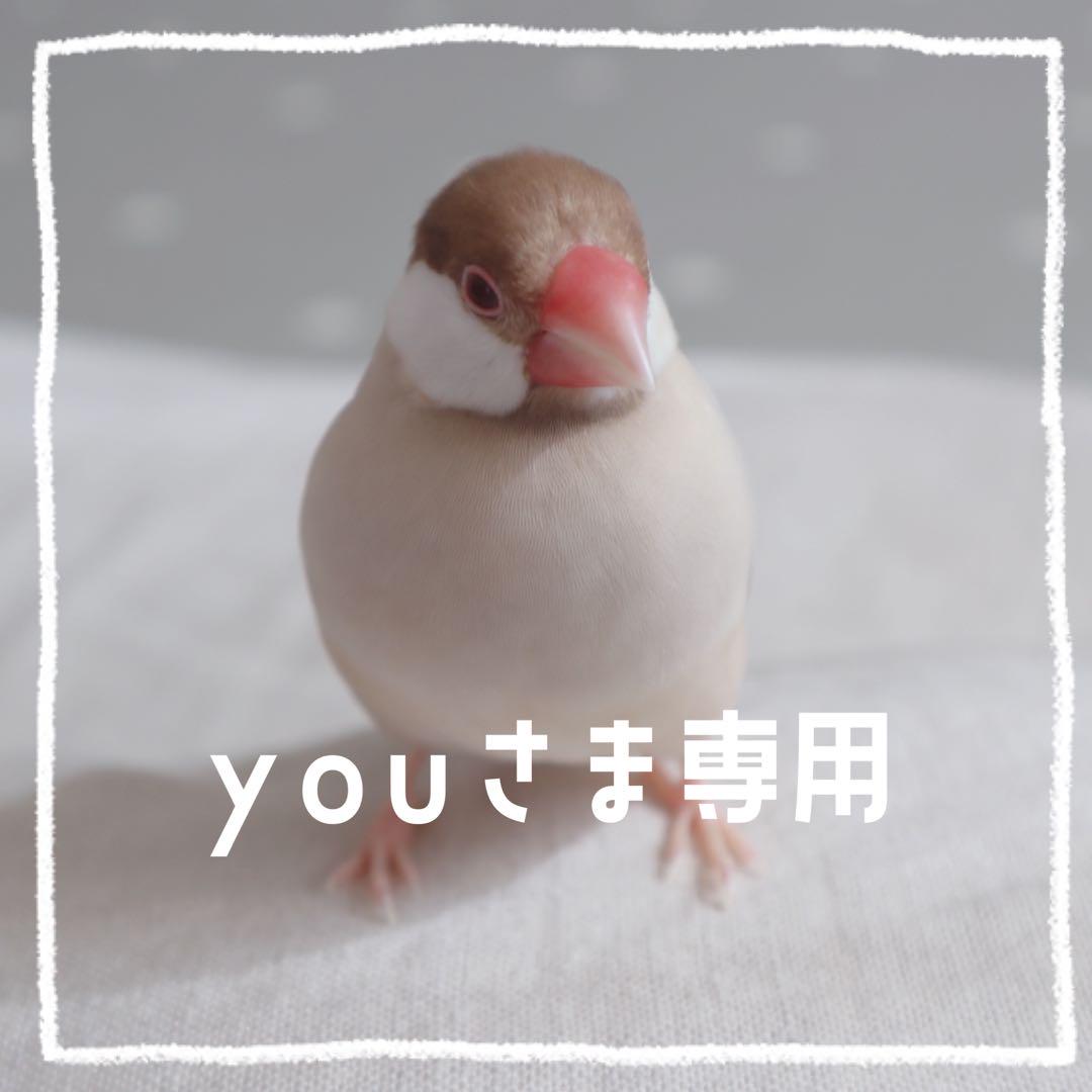 you様専用】ことりのおおきなあそびば 押し込める