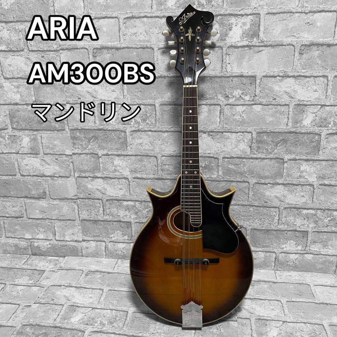 ARIA アリア　AM 300BS マンドリン ARIA アリア AM 300BS マンドリン（フラットマンドリン：ARIA AM