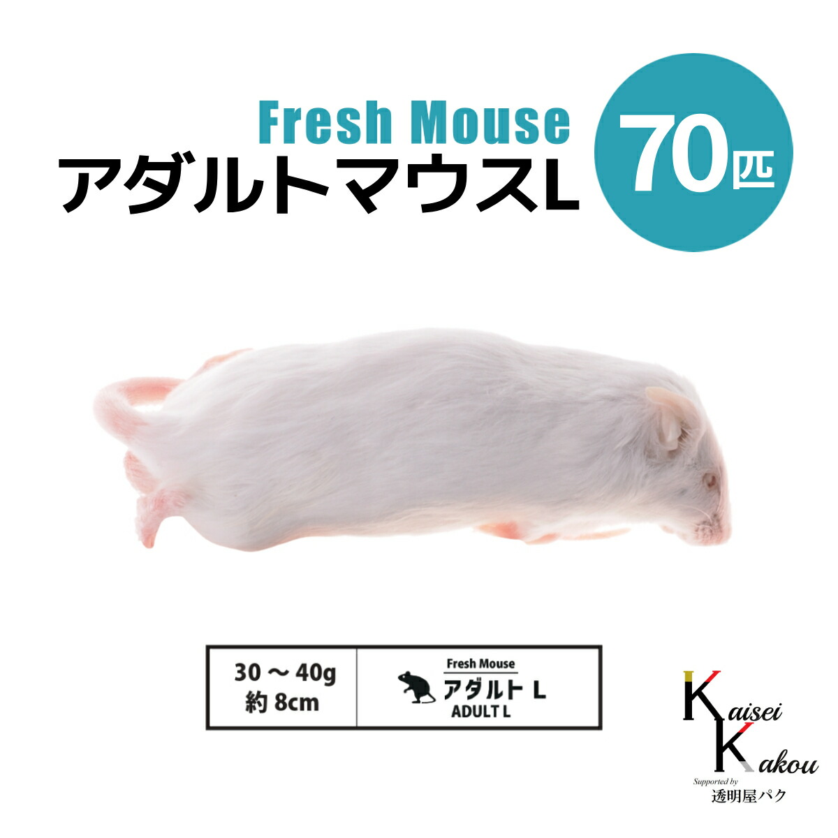 冷凍ラット(国産) 130~180g 30セット 国産冷凍ラット 130-180g前後 30匹 - メルカリ
