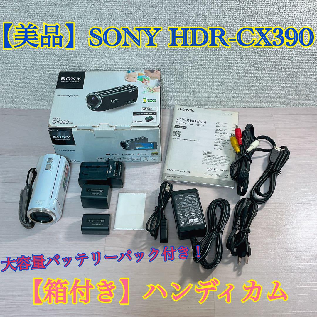 348【箱付き美品】SONY HDR-CX390 ビデオカメラ ハンディカム
