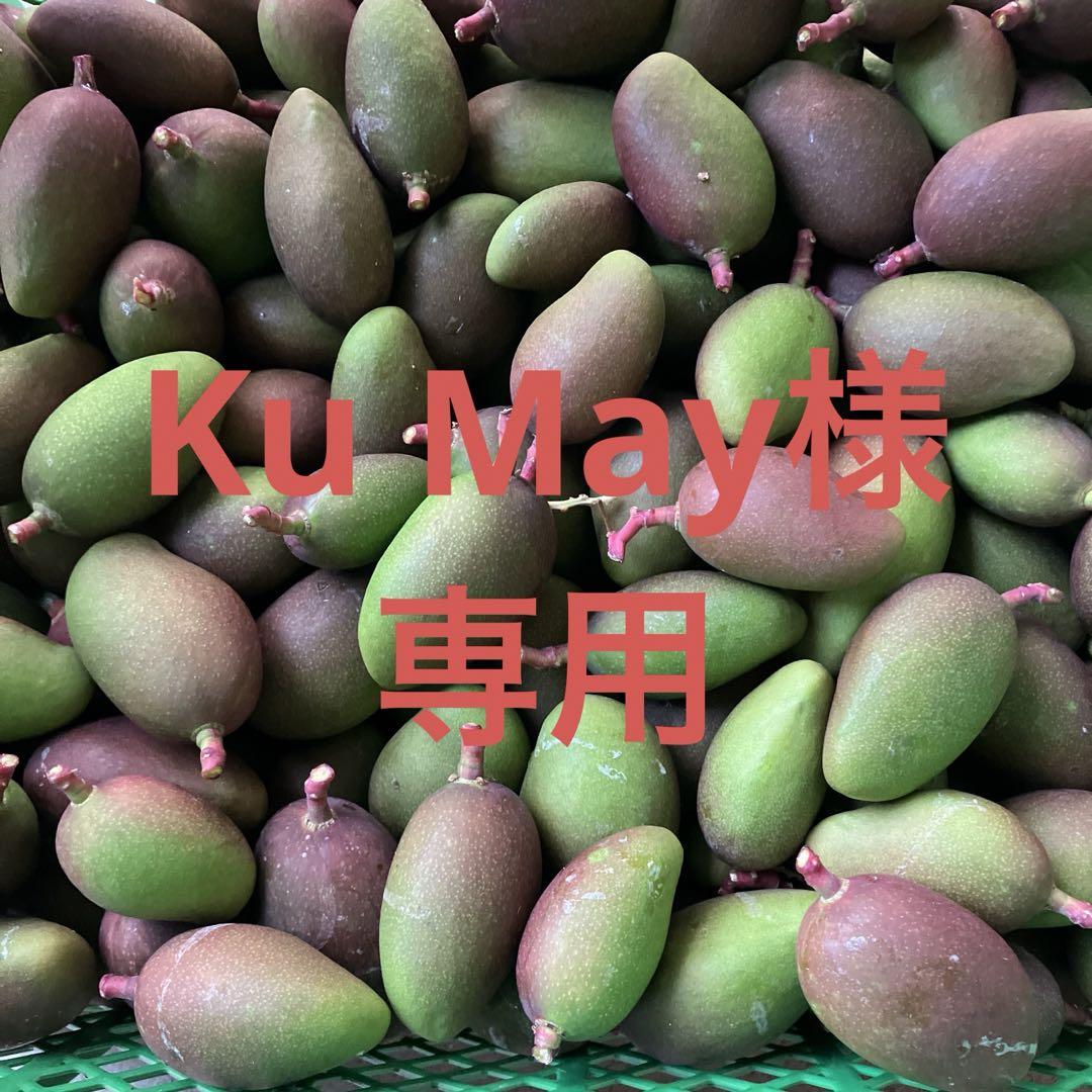 宮崎県産摘果マンゴー 10kg （宮崎特産品 「訳あり」宮崎県産