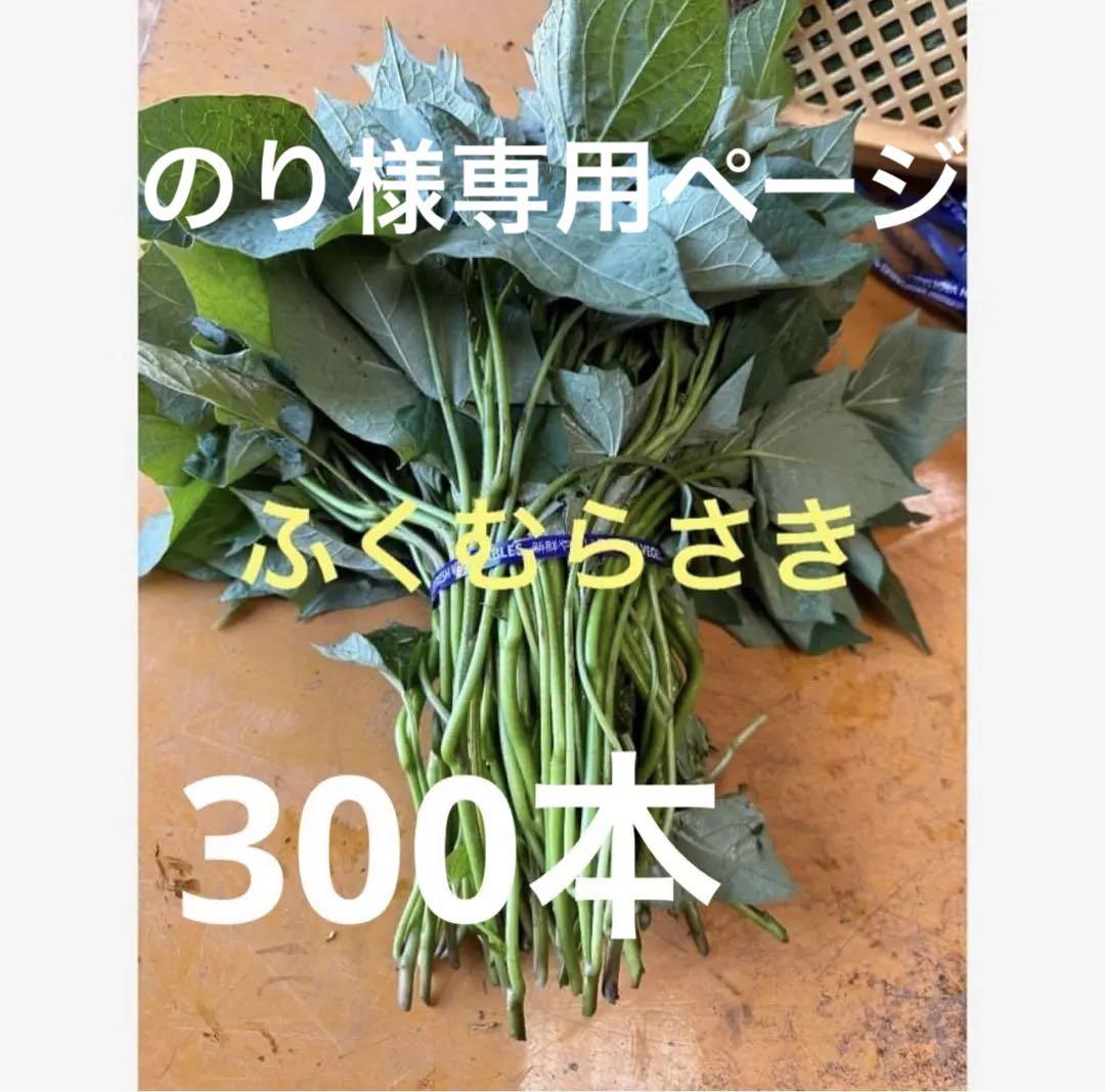 ふくむらさき芋苗300本セール （糖度の高い紫サツマイモ新品種
