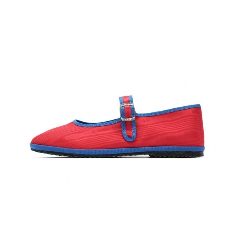 DROGHERIA CRIVELLINI】 Mary Jane Moire Red Cobalt（Drogheria