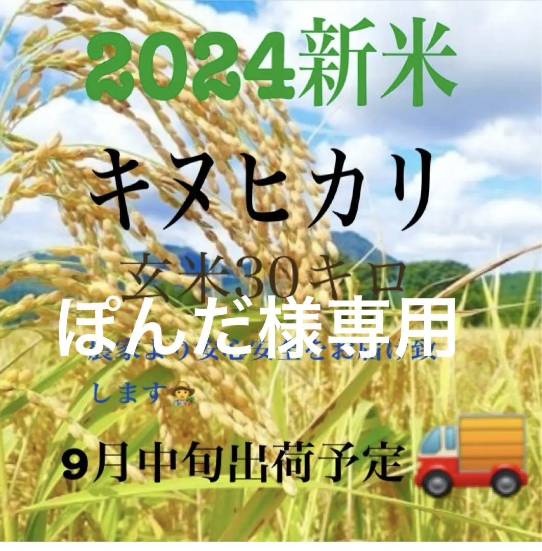 ぽんだ様専用2024新米 滋賀県産キヌヒカリ （特別栽培米・滋賀県