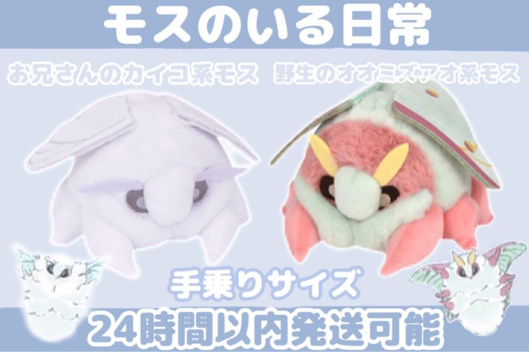 モスのいる日常 手乗りモス お兄さんのカイコ系モス タグあり 新品 美品 m73467807855_1.jpg?1717677896