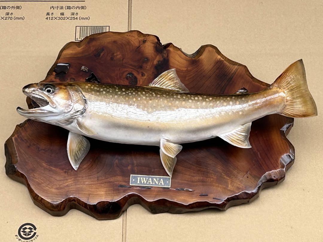 ITO.CRAFT イワナ剥製 （ITO CRAFT ／ 山夷68F（5.0g、Floating