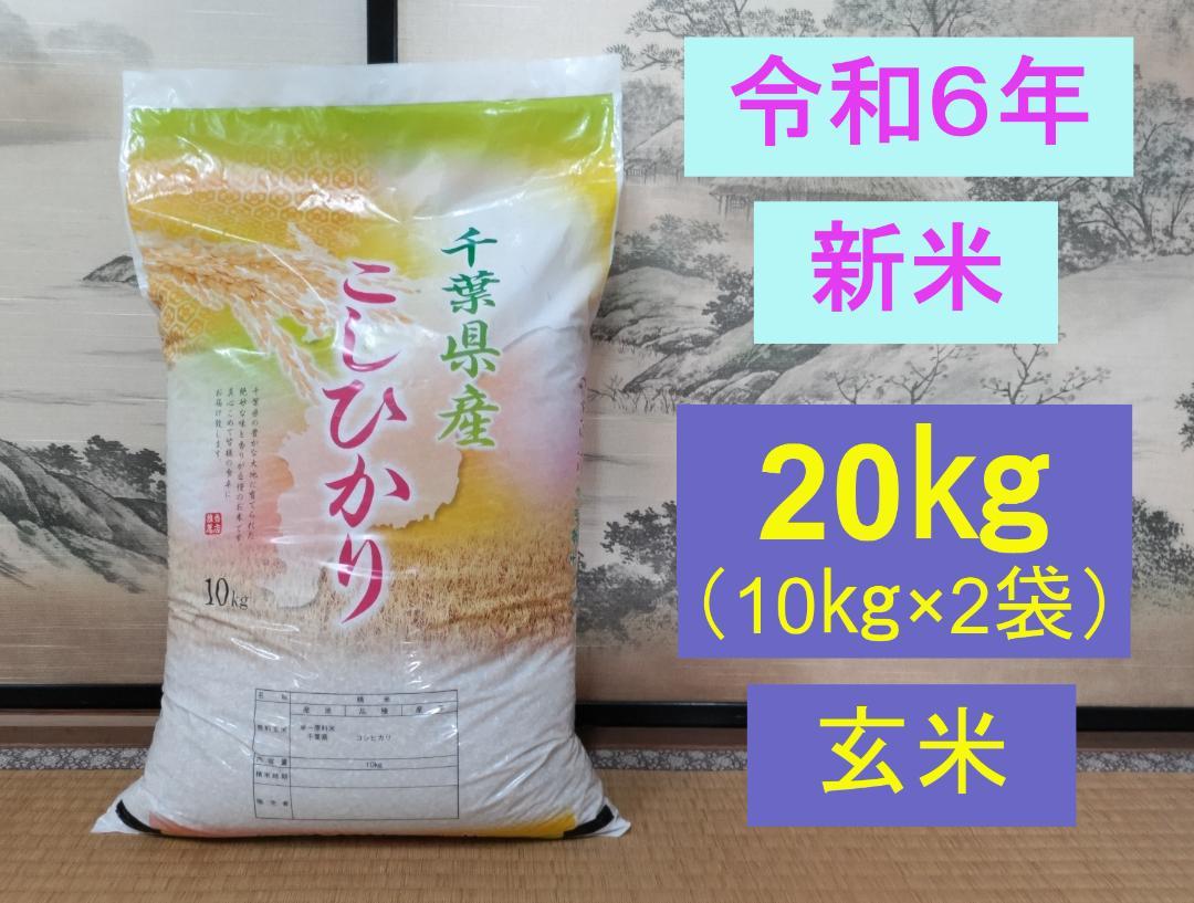 daria　無農薬　純こしひかり20㎏ 玄米 新米 無農薬 純こしひかり10㎏ 玄米
