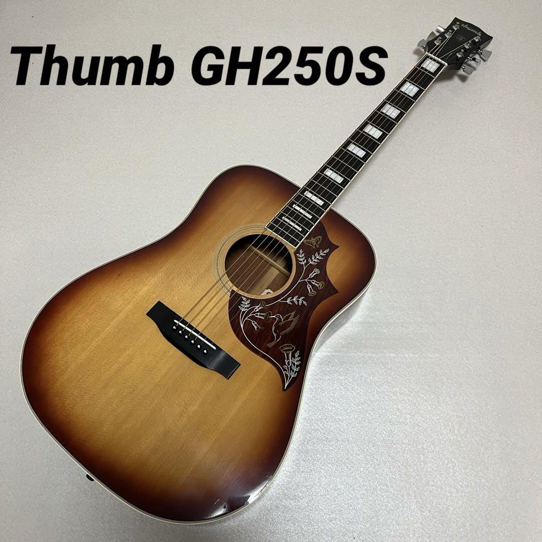 Thumb GH250S 寺田楽器 TERADA ハミングバード アコギ Thumb GH250S 寺田楽器 TERADA ハミングバード アコギ（Thumb W