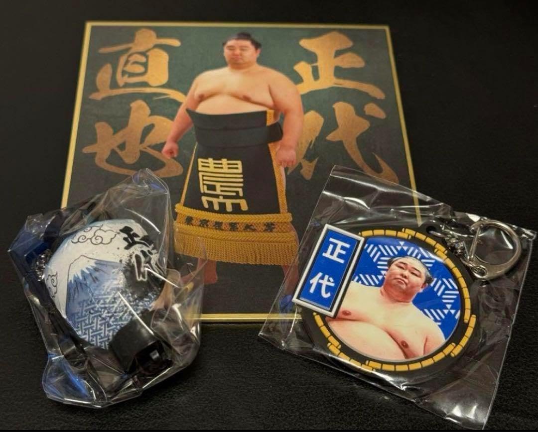 正代 力色紙 大相撲ガチャ 提灯マグネットキーホルダー ラバー