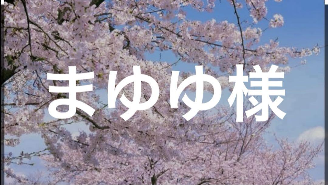 桜 ザ・スタディールーム エキュート上野店 | こんにちは🐸 蛙堂