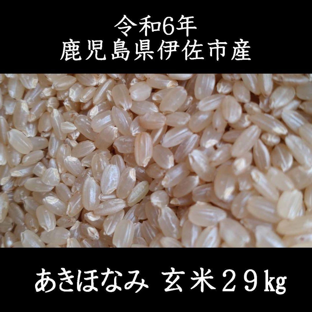 令和6年産 あきほなみ 玄米 29kg 鹿児島県伊佐市産 令和6年産 だぶだぶ あきほなみ 玄米 29kg 鹿児島県伊佐市産