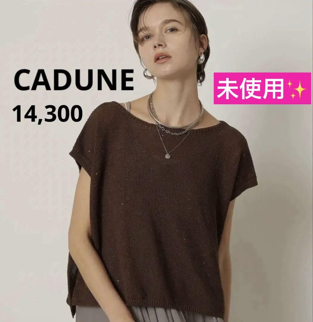 未使用✨CADUNE カデュネ　フレンチメッシュニット ブラウン　サマーニット 未使用✨CADUNE カデュネ フレンチメッシュニット ブラウン